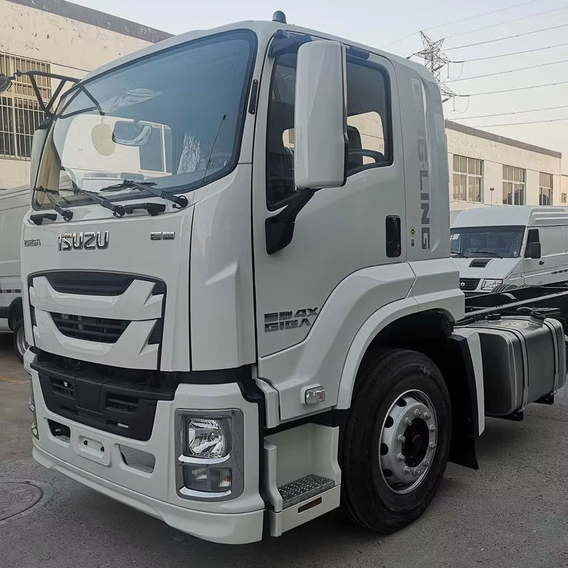 Used for Qingling for Isuzu Giga 205HP 4*2 Euro 6 Manual Transmission Truck Platform Diesel Cargo Truck for Sale Hot Selling - ISUZU used truck for sale